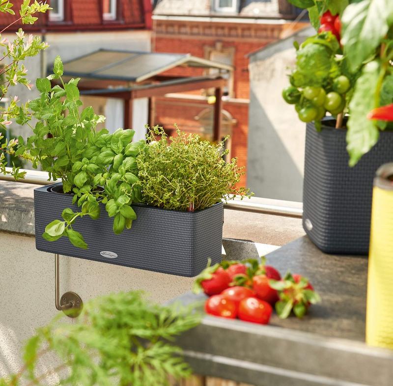 le_tw-urban-gardening_balconissima_gr le_tw-urban-gardening_balconissima_gr