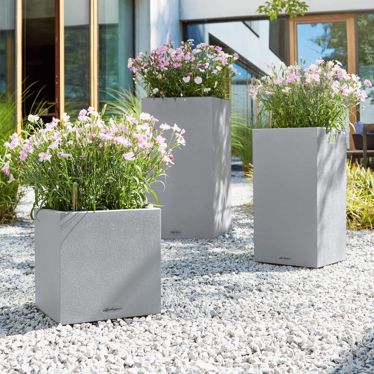 le_tw-urban-gardening_canto_color_stgr le_tw-urban-gardening_canto_color_stgr