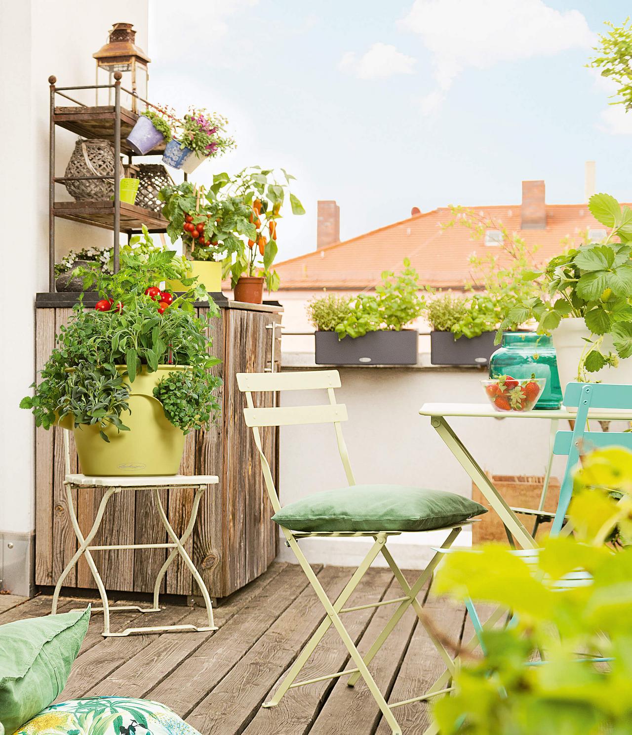le_tw-urban-gardening_cascadino_gruen le_tw-urban-gardening_cascadino_gruen
