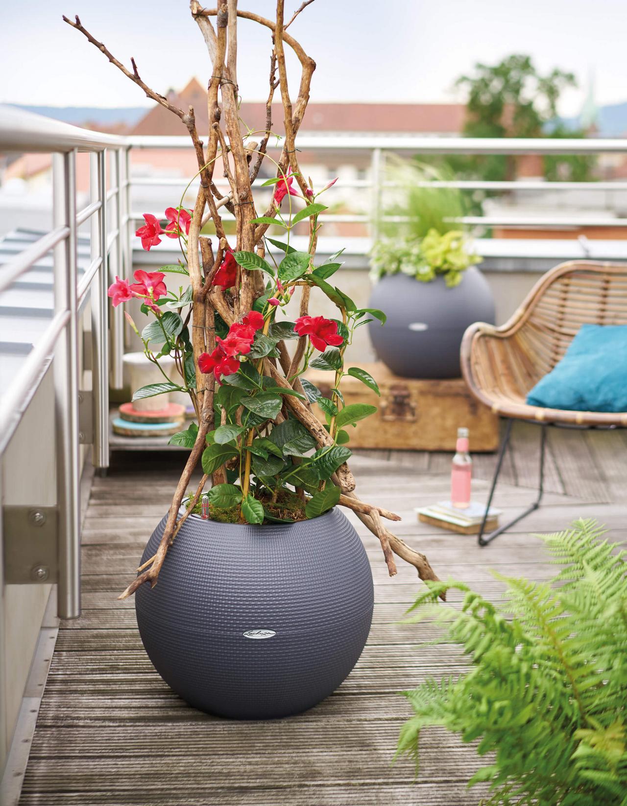 le_tw-urban-gardening_puro50_gr le_tw-urban-gardening_puro50_gr