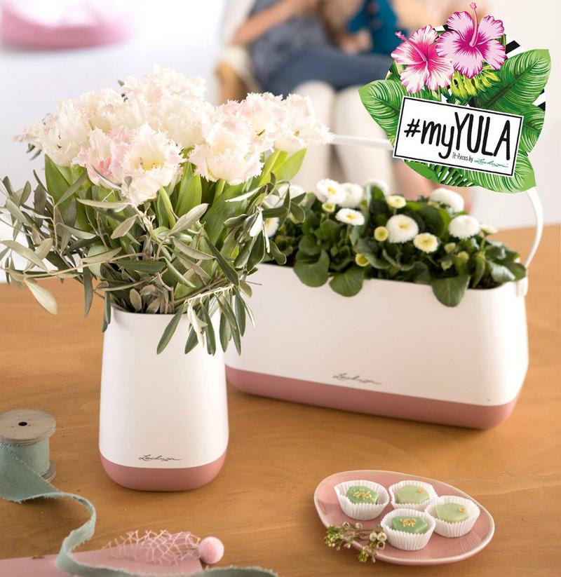 le_tw-gift-ideas_yula YULA pearl rose