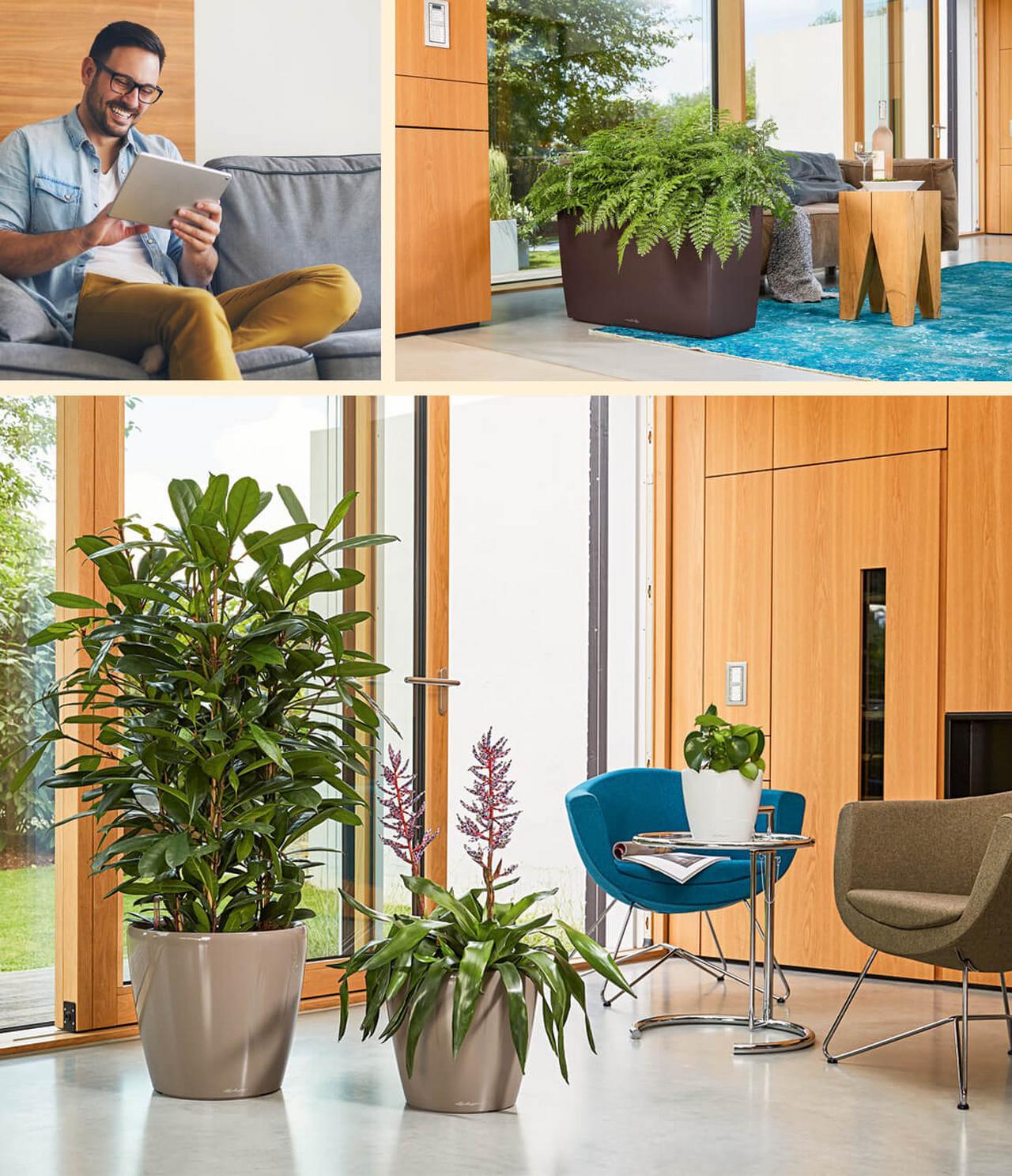 le_tw-wohntrends_mid_century_2 le_tw-wohntrends_mid_century_2