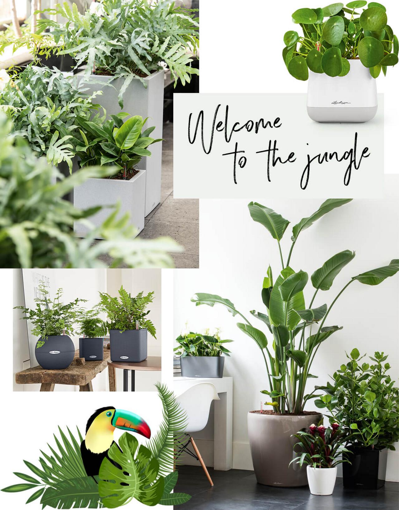 le_tw-wohntrends_urban_jungle_3 le_tw-wohntrends_urban_jungle_3