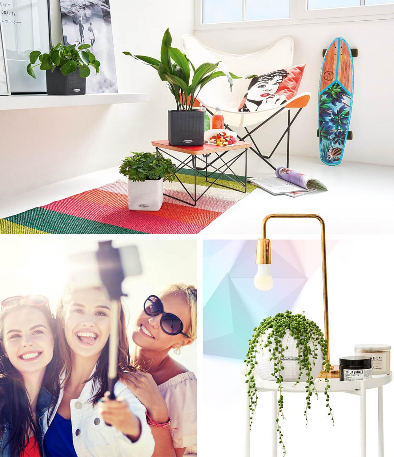 le_tw-wohntrends_young_modern_1 le_tw-wohntrends_young_modern_1