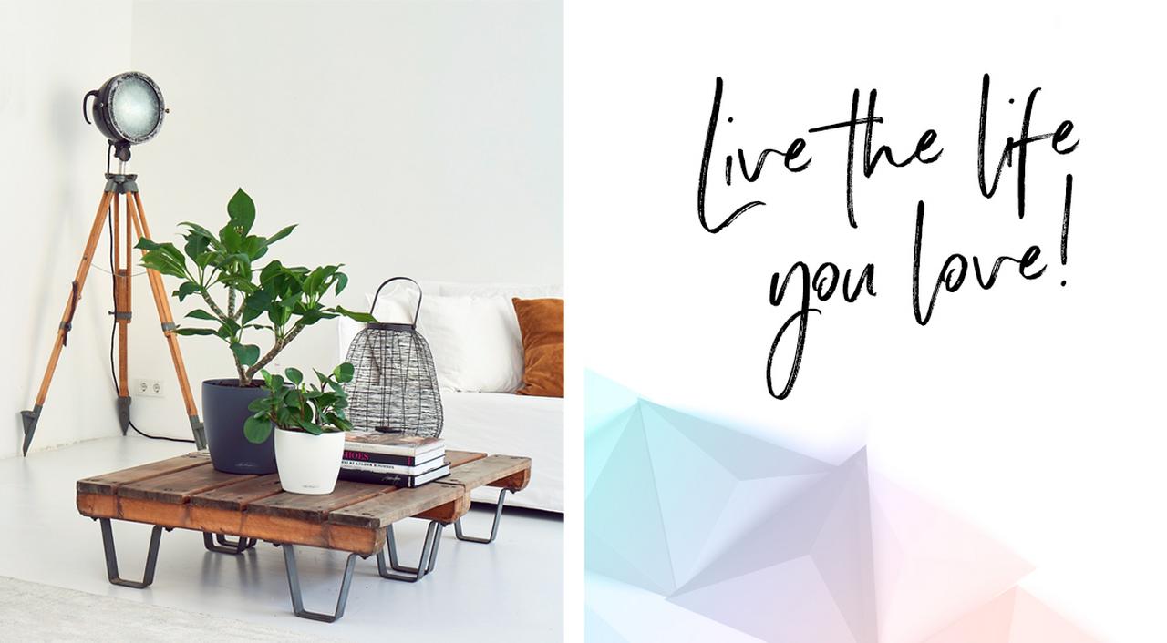 le_tw-wohntrends_young_modern_2 le_tw-wohntrends_young_modern_2