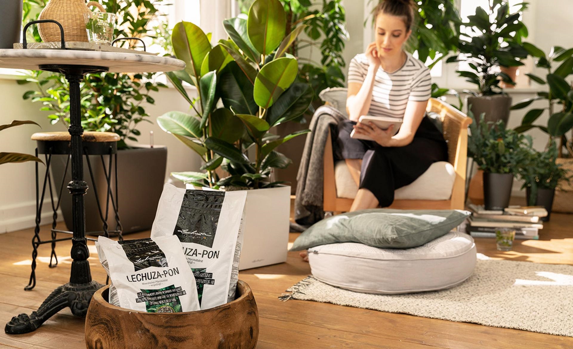 speziell für die edlen Tropenbewohner hat LECHUZA das Pflanzgefäß ORCHIDEA konzipiert speziell für die edlen Tropenbewohner hat LECHUZA das Pflanzgefäß ORCHIDEA konzipiert