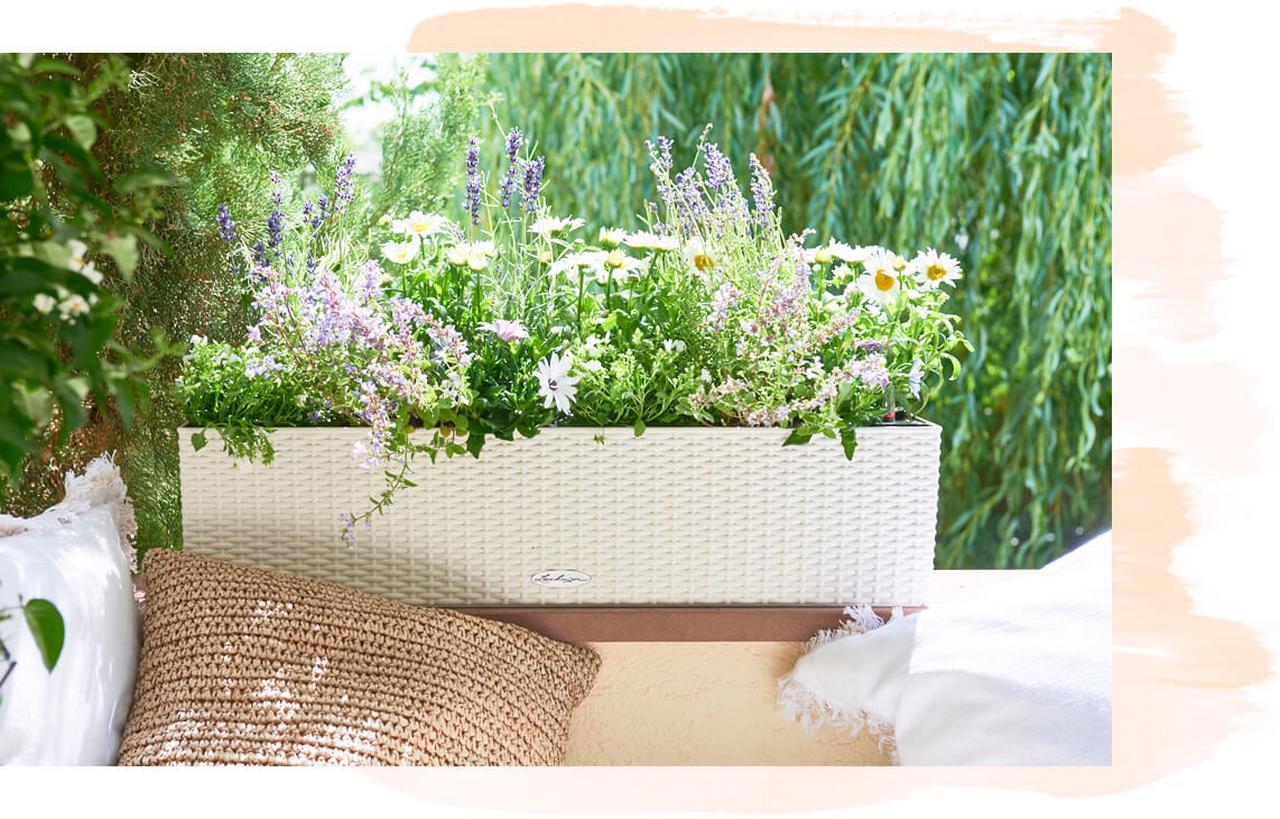 le_tw-spaetsommer_balconera_cottage le_tw-spaetsommer_balconera_cottage