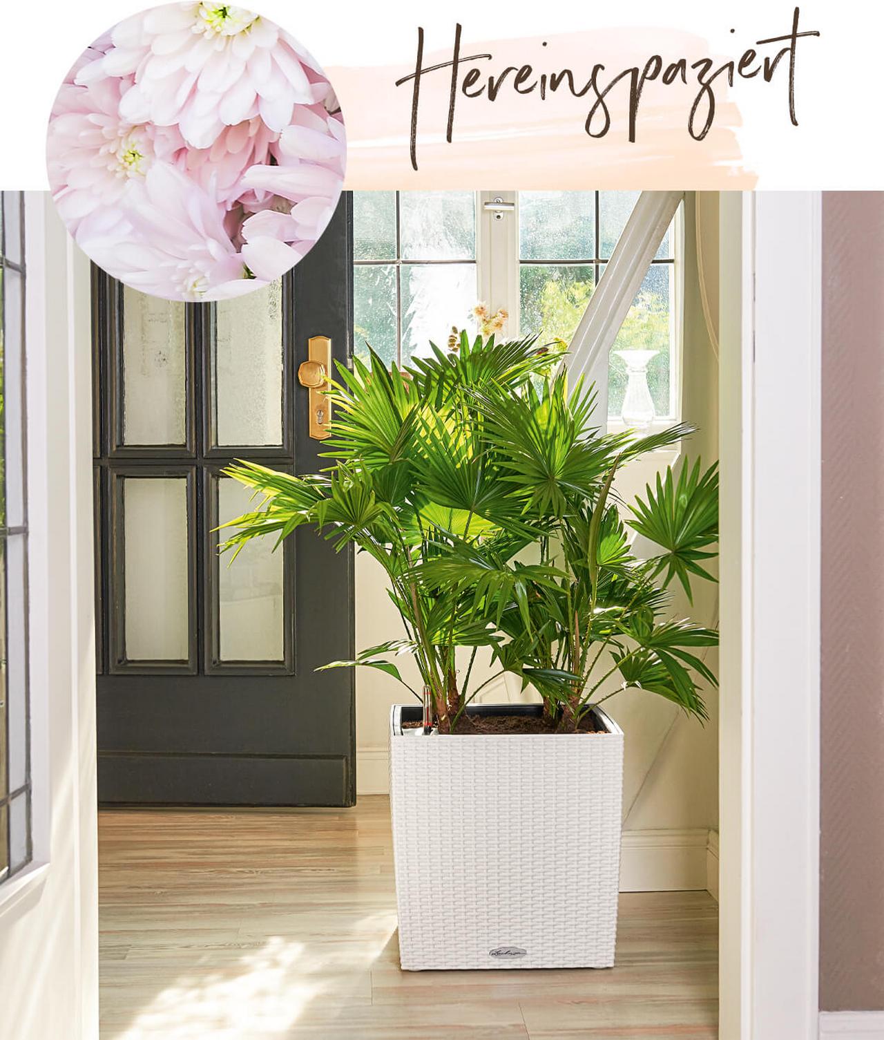 le_tw-spaetsommer_cube_cottage_indoor le_tw-spaetsommer_cube_cottage_indoor