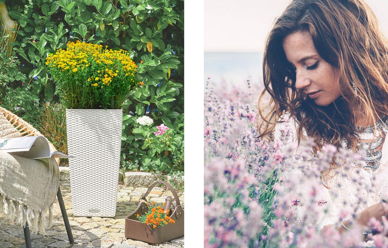 le_tw-spaetsommer_cubico_cottage le_tw-spaetsommer_cubico_cottage