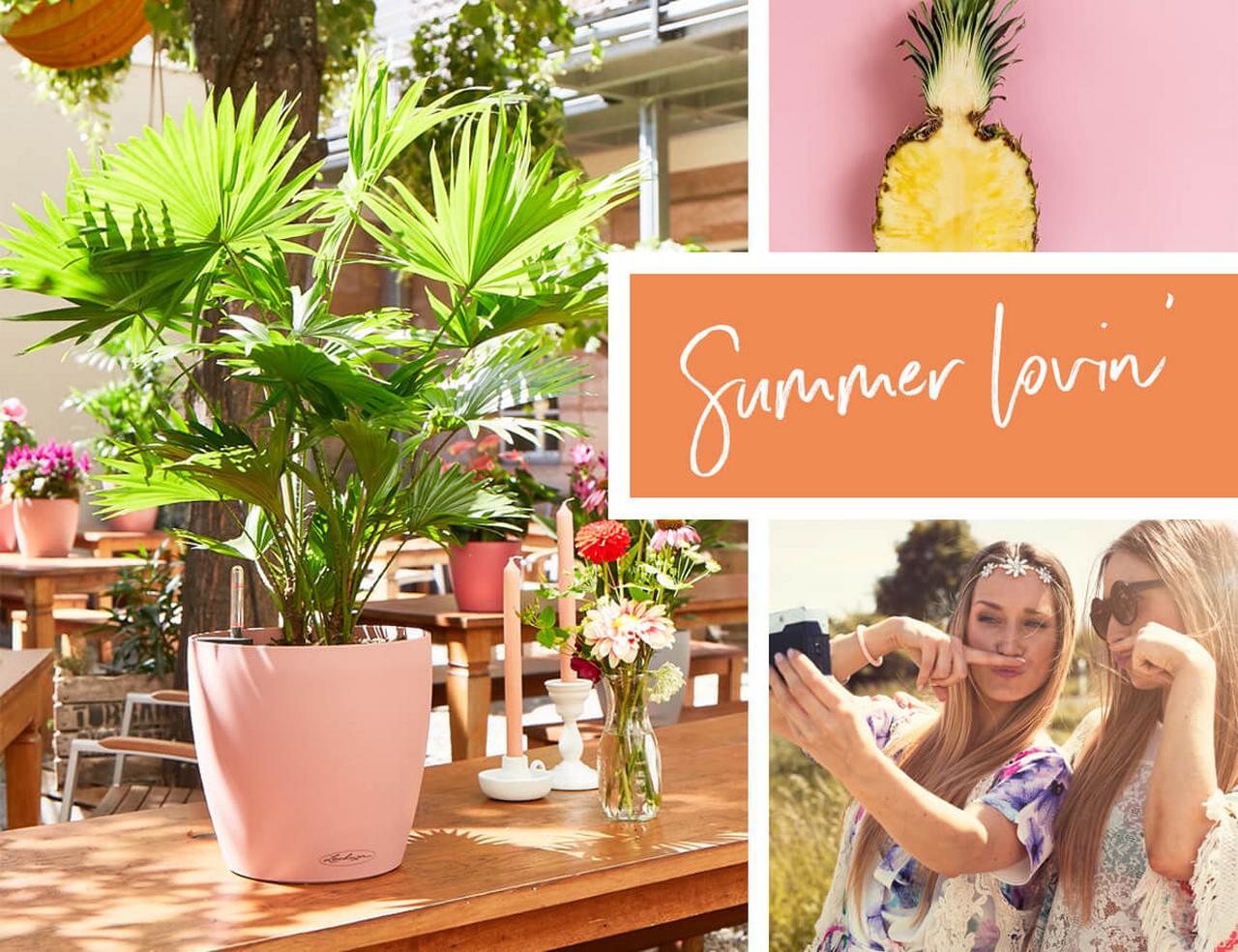 le_tw-sonderfarben-ru-d-summerlovin le_tw-sonderfarben-ru-d-summerlovin