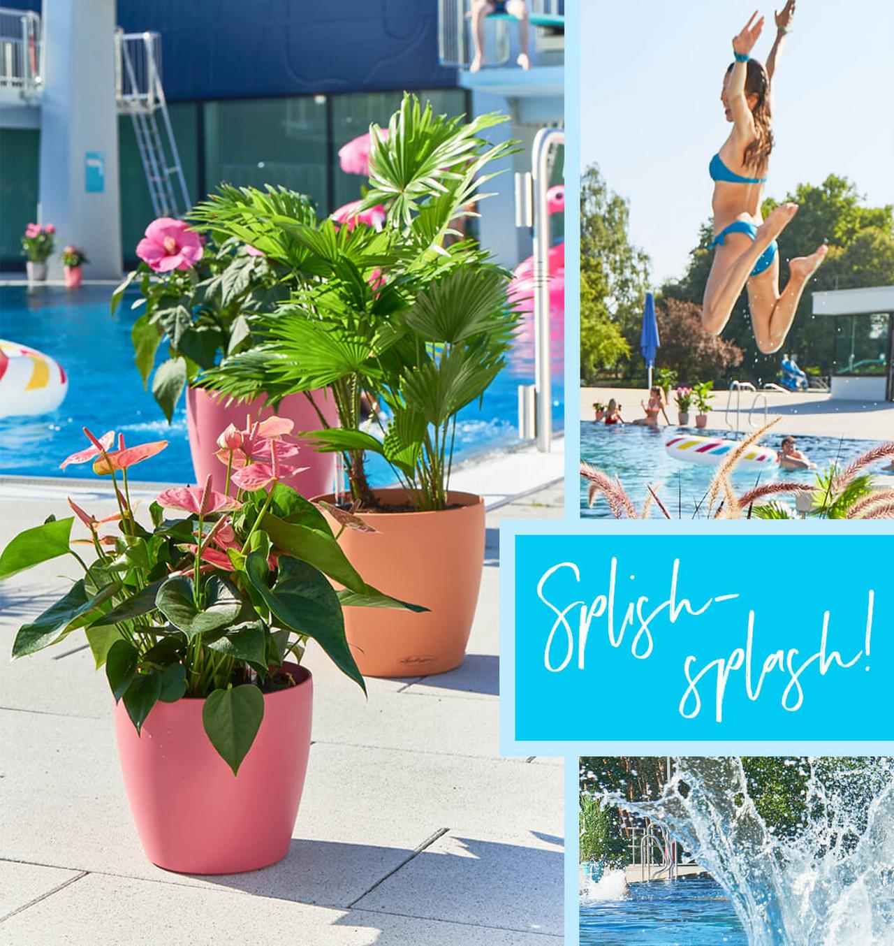 le_tw-sonderfarben-ru-d_splishsplash le_tw-sonderfarben-ru-d_splishsplash